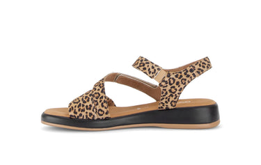 Sandales léopard en nubuck